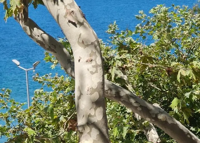 Blue Bay Front Uji Ftohte * Vlore